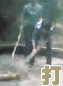 国产残忍调教学生视频,残忍调教学生视频引发社会关注