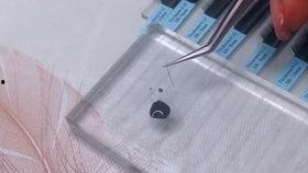 国产字库除胶视频教程,轻松掌握字库修复与保养技巧