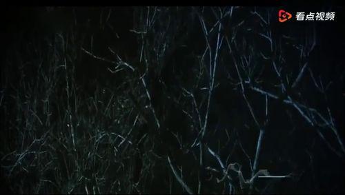 国产你叫视频,光影中的民族情怀与时代精神