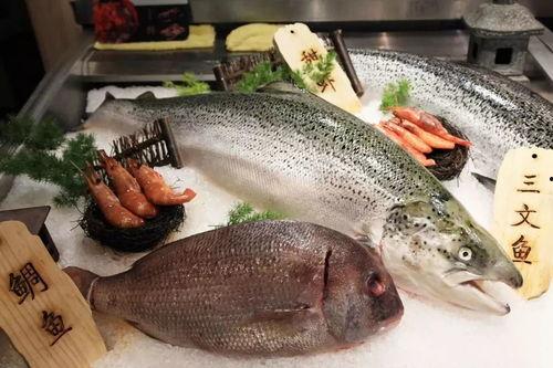 国产虹鳟可以繁殖吗视频,视频揭秘成功繁育全过程